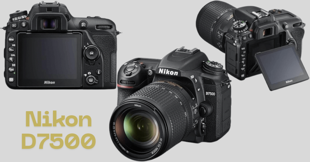 Nikon Dslr Camera D7500
